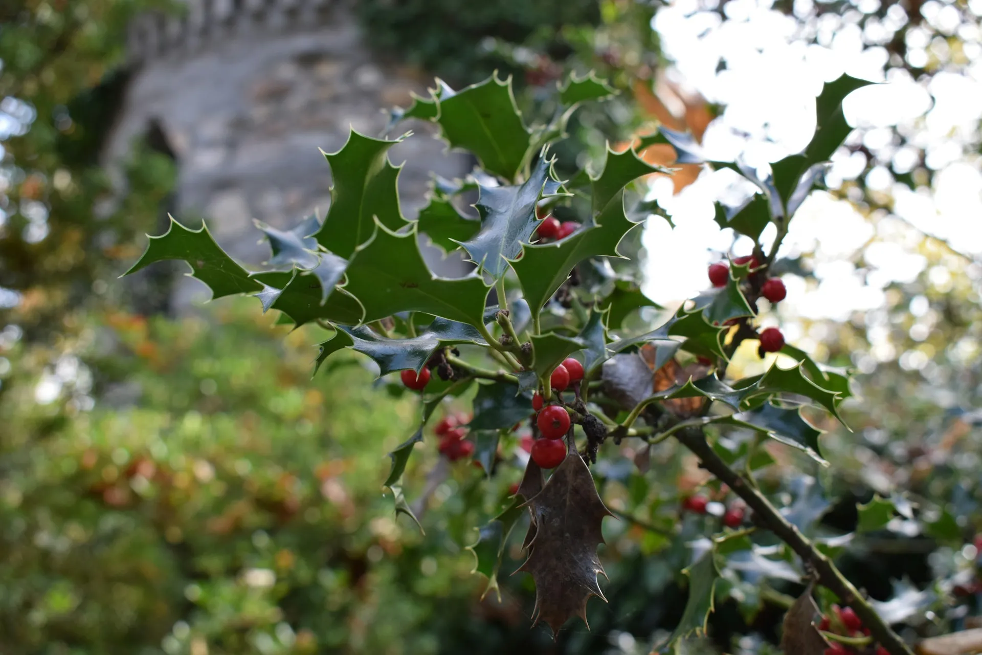Rozklad na zimní slunovrat